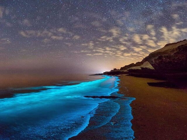 ساحل لارک، خلیج فارس