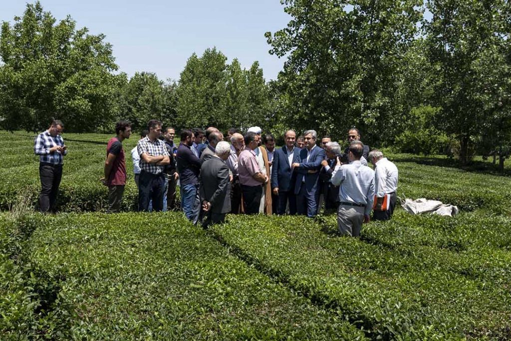 افتتاح اولین مجتمع گردشگری کشاورزی لاهیجان در آینده نزدیک