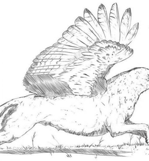 Simorgh | Un oiseau mythique de l’ancienne