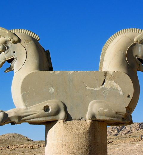 Chamrosh | l’oiseau gardien mythique de l’Iran